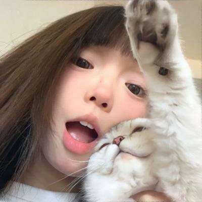 顽石之拳